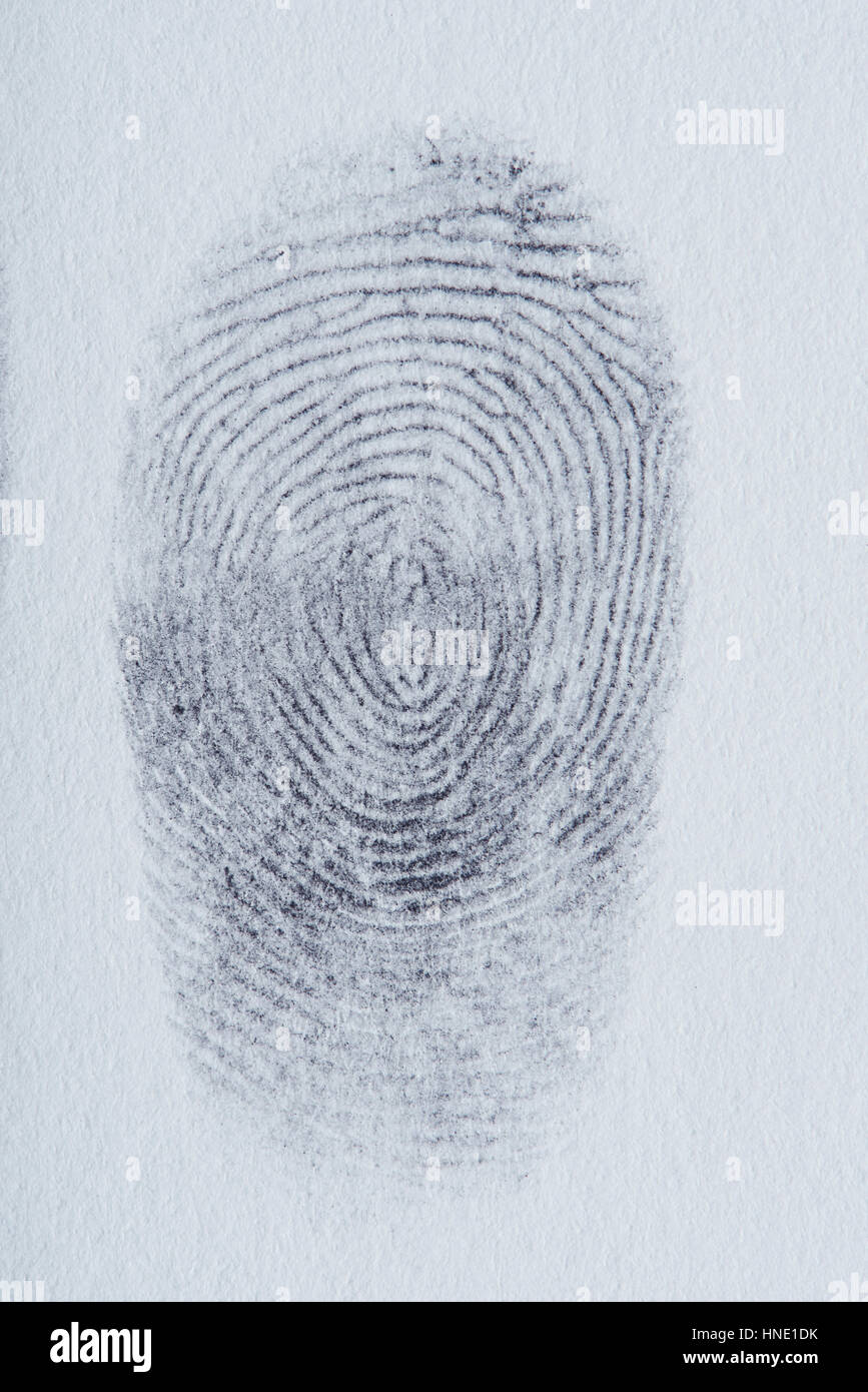 Lines of finger print pattern on white paper Stock Photo