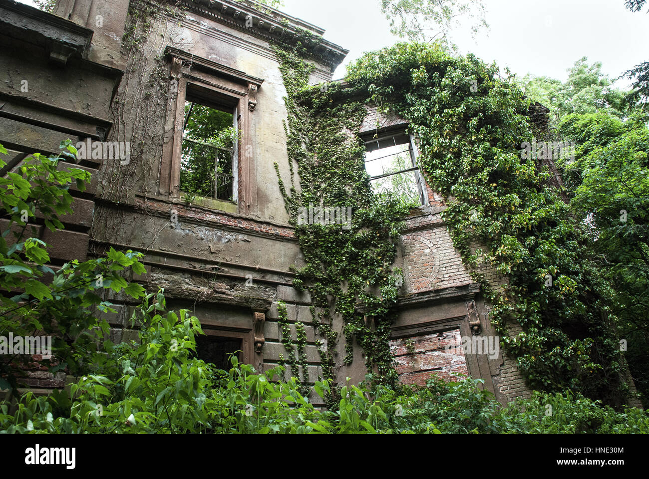 Baron Hill House surrounded by trees, Anglesey, Wales Stock Photo Alamy