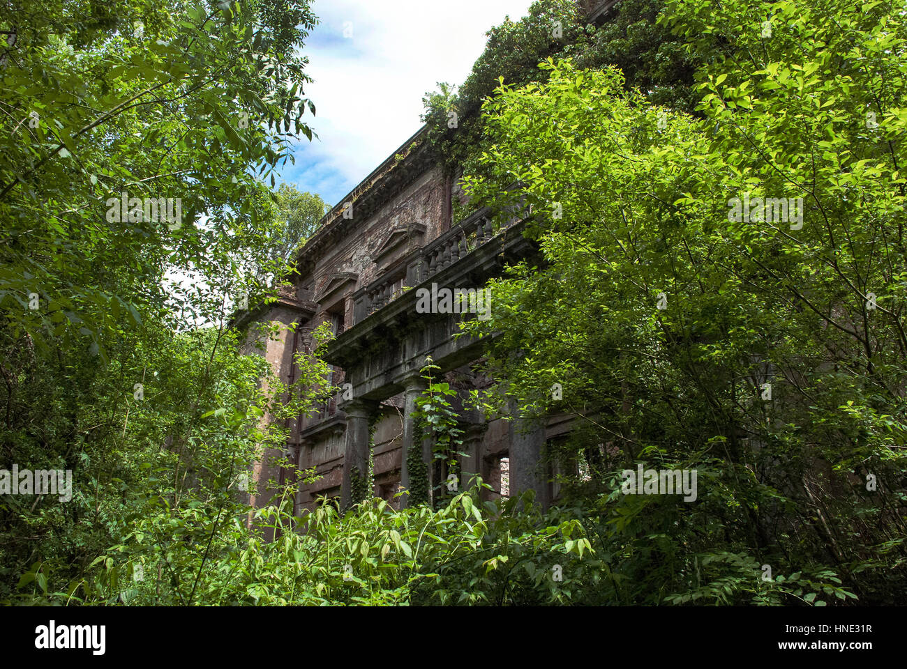 Baron Hill House surrounded by trees, Anglesey, Wales Stock Photo Alamy