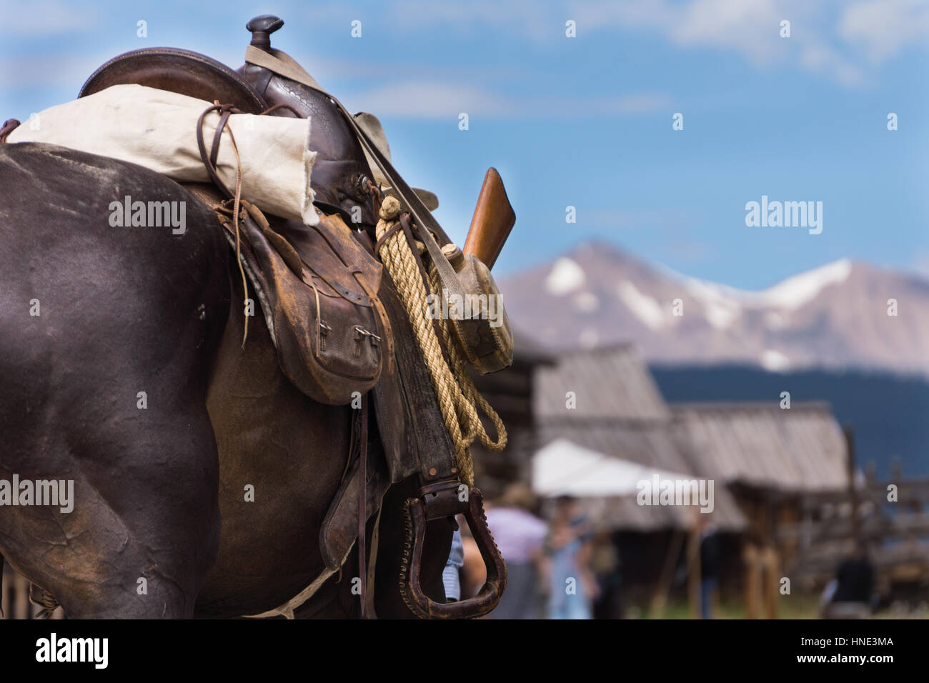 Details 72+ western saddle bags latest - in.duhocakina