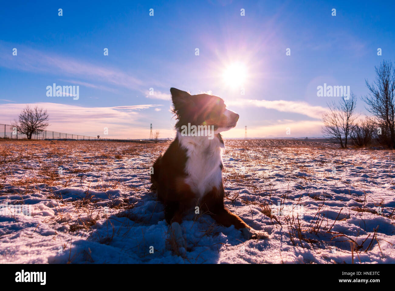 Lake Louise Winter Stock Photo - Alamy