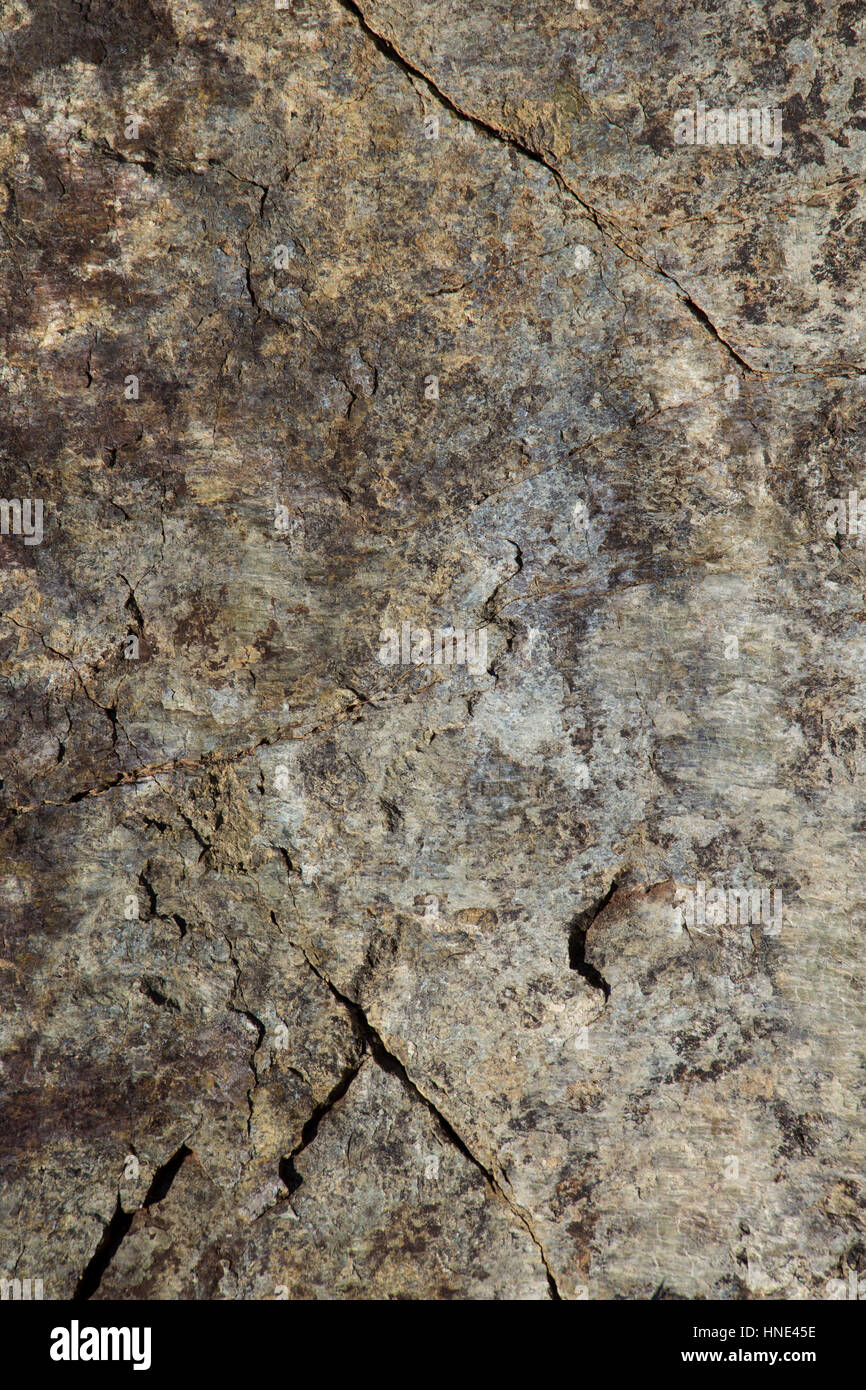 Close up vertical stone hi-res stock photography and images - Alamy