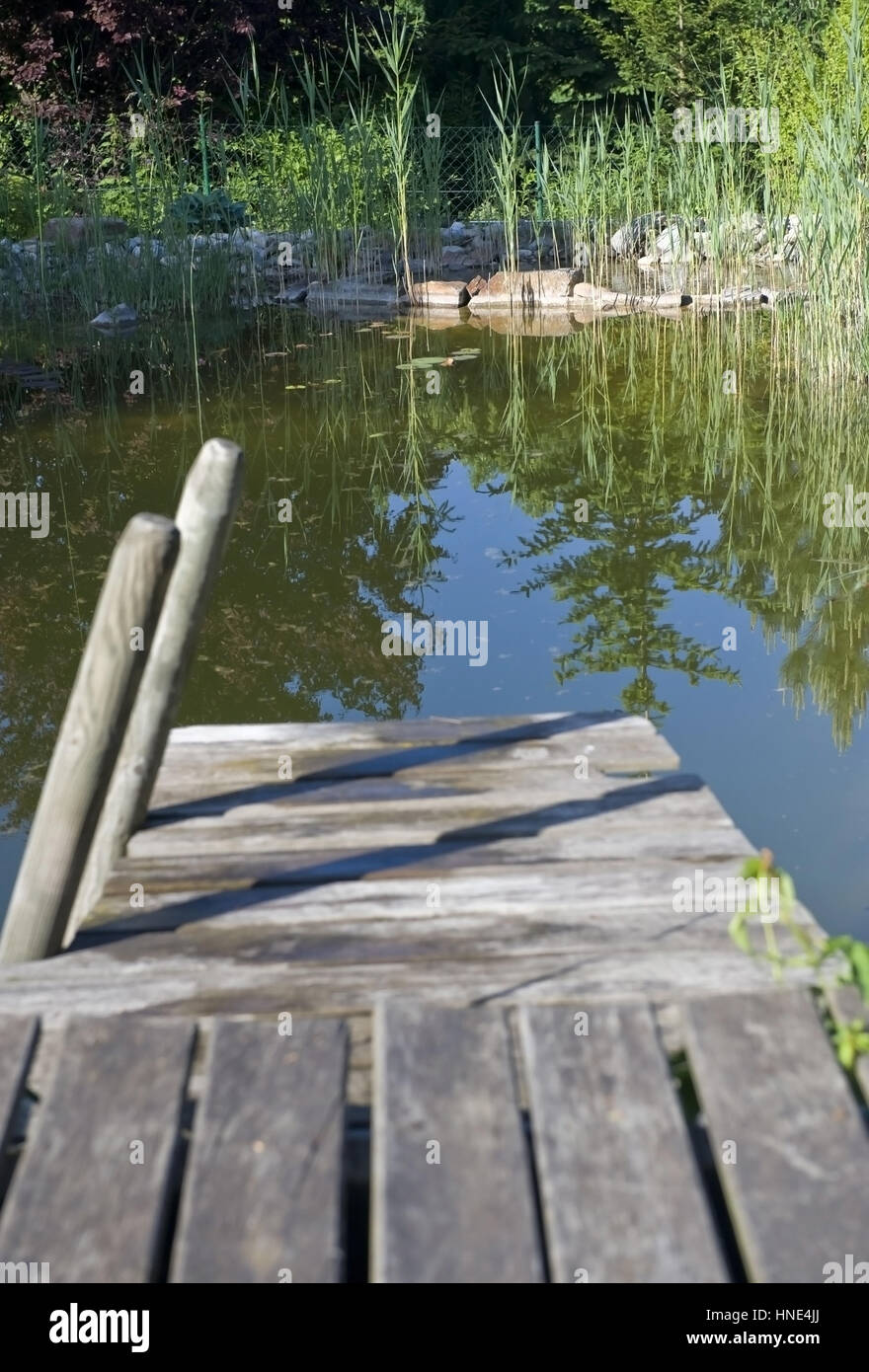 Holzsteg am Gartenteich wood walk at pond Stock Photo Alamy