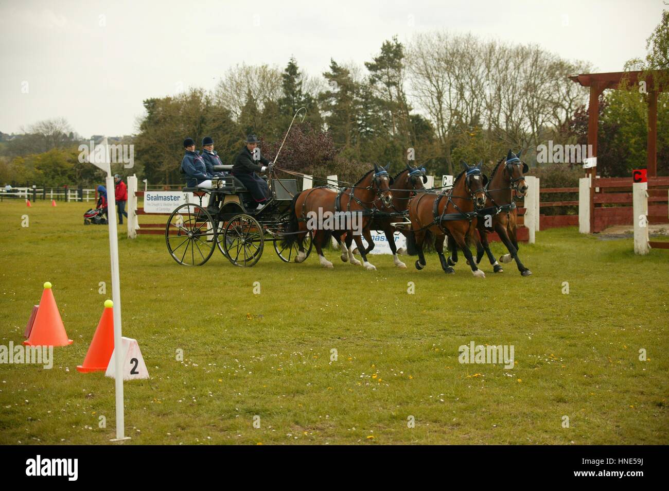 Ashfields Polo and Carriage Driving Club Stock Photo Alamy