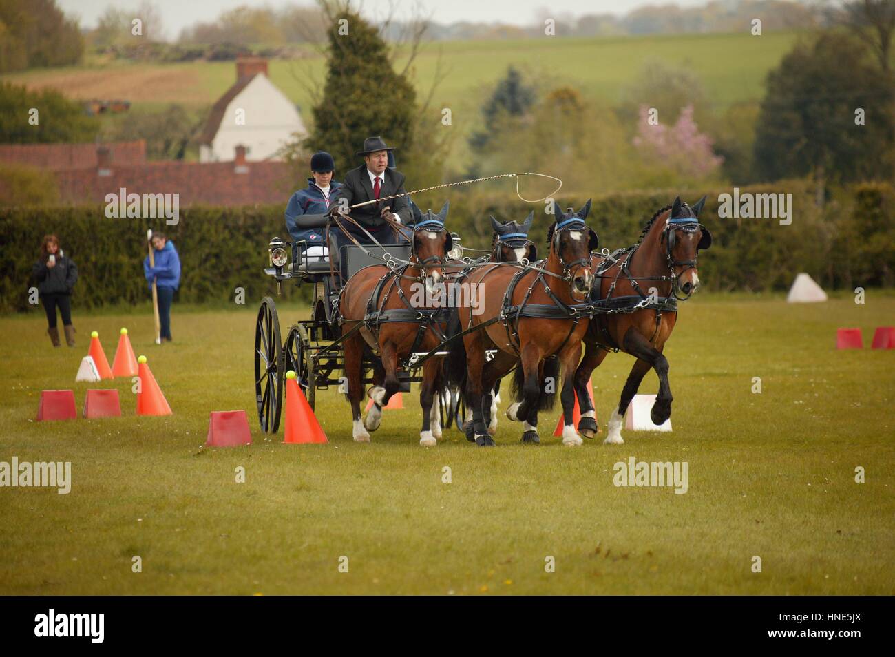 Ashfields Polo and Carriage Driving Club Stock Photo Alamy