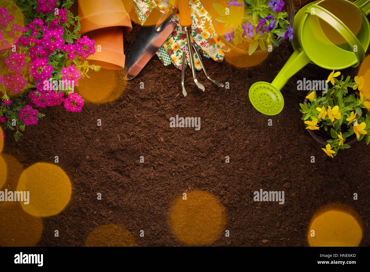 Garden tools, flowers and seeds on soil Stock Photo