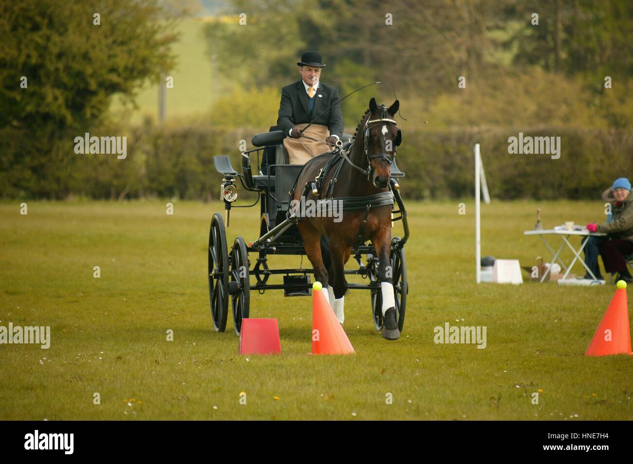 Ashfields Polo and Carriage Driving Club Stock Photo Alamy