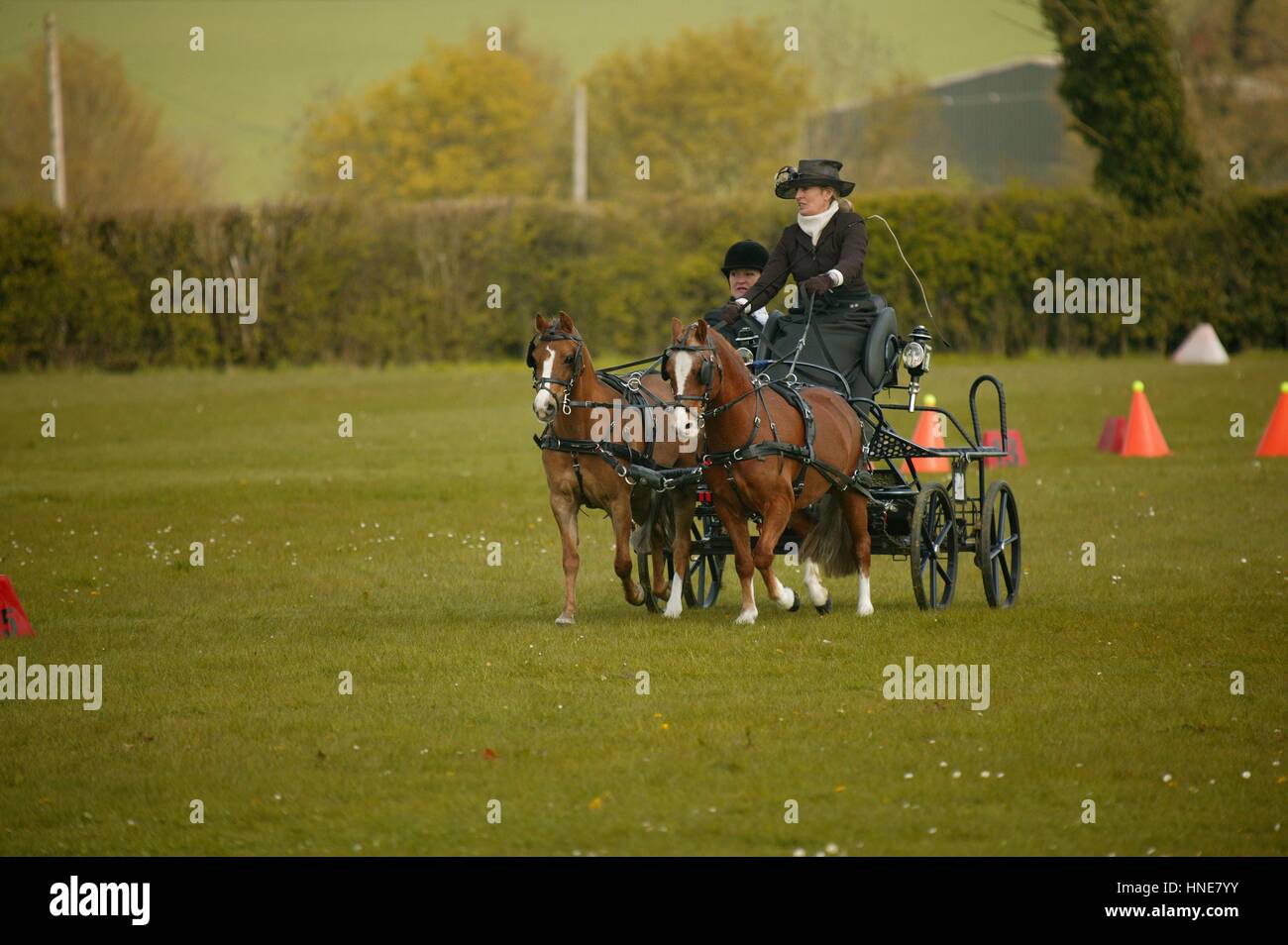 Ashfields Polo and Carriage Driving Club Stock Photo Alamy