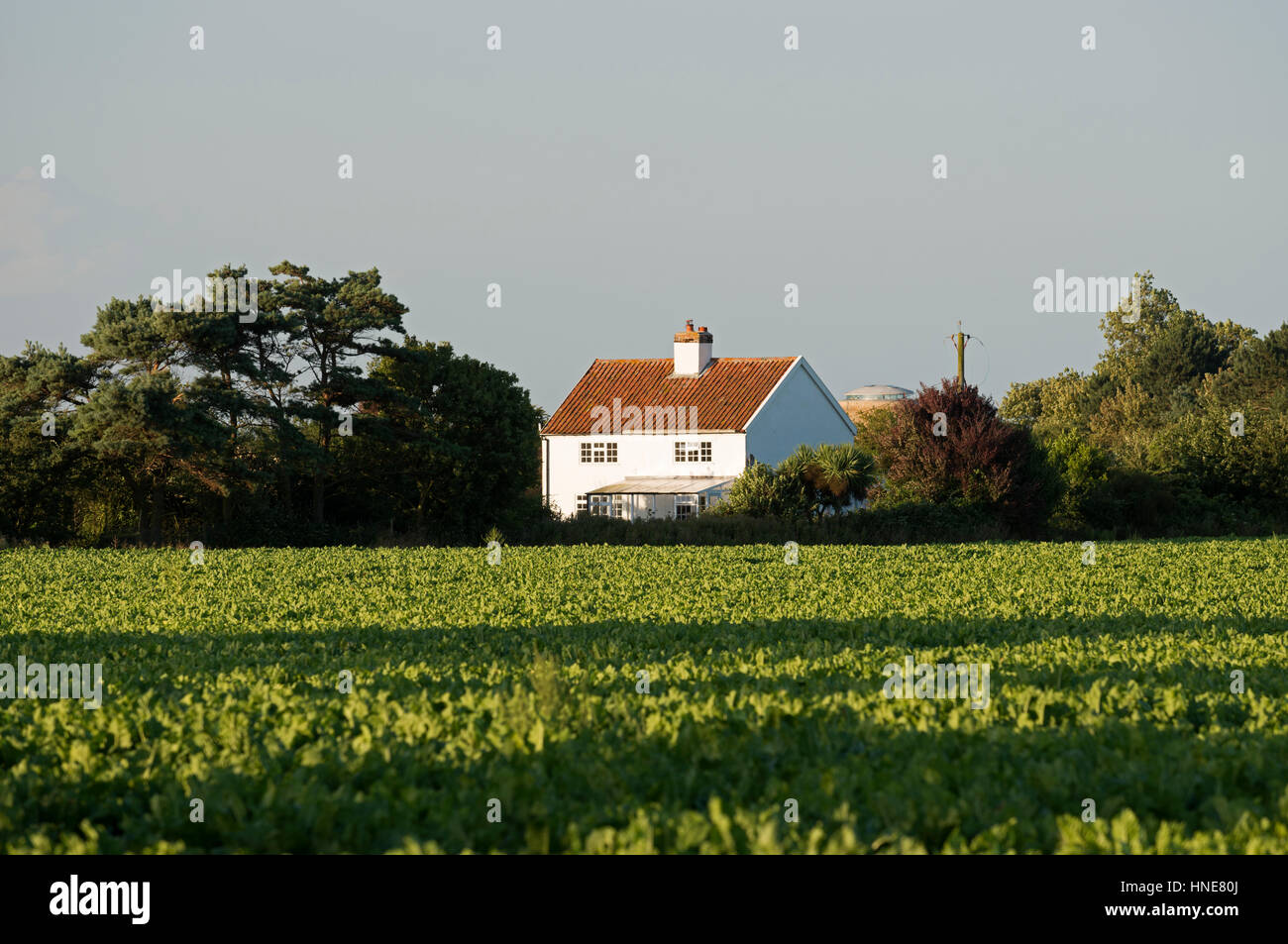 Detached country house, Bawdsey, Suffolk, UK. Stock Photo
