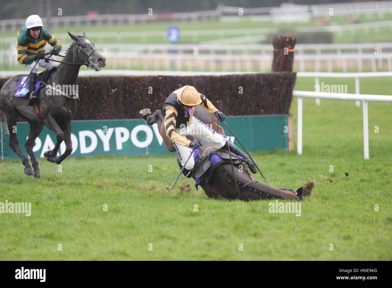 Steeplechase fall hires stock photography and images Alamy