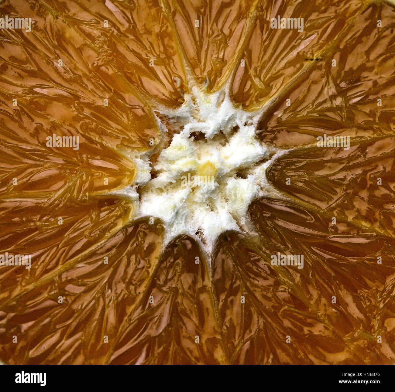Orange slice close up citrics hi-res stock photography and images - Alamy