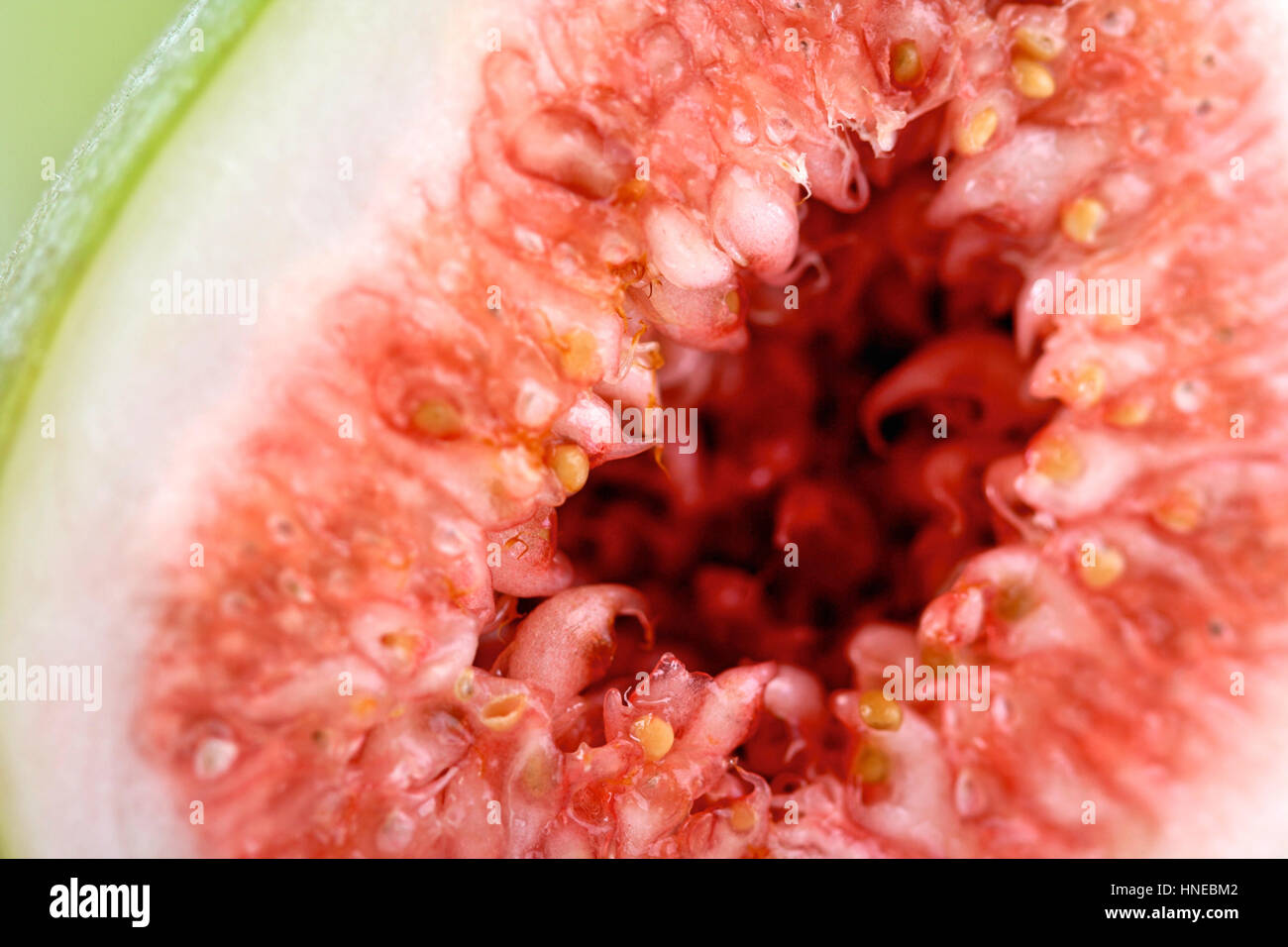 Close - up of fig Stock Photo