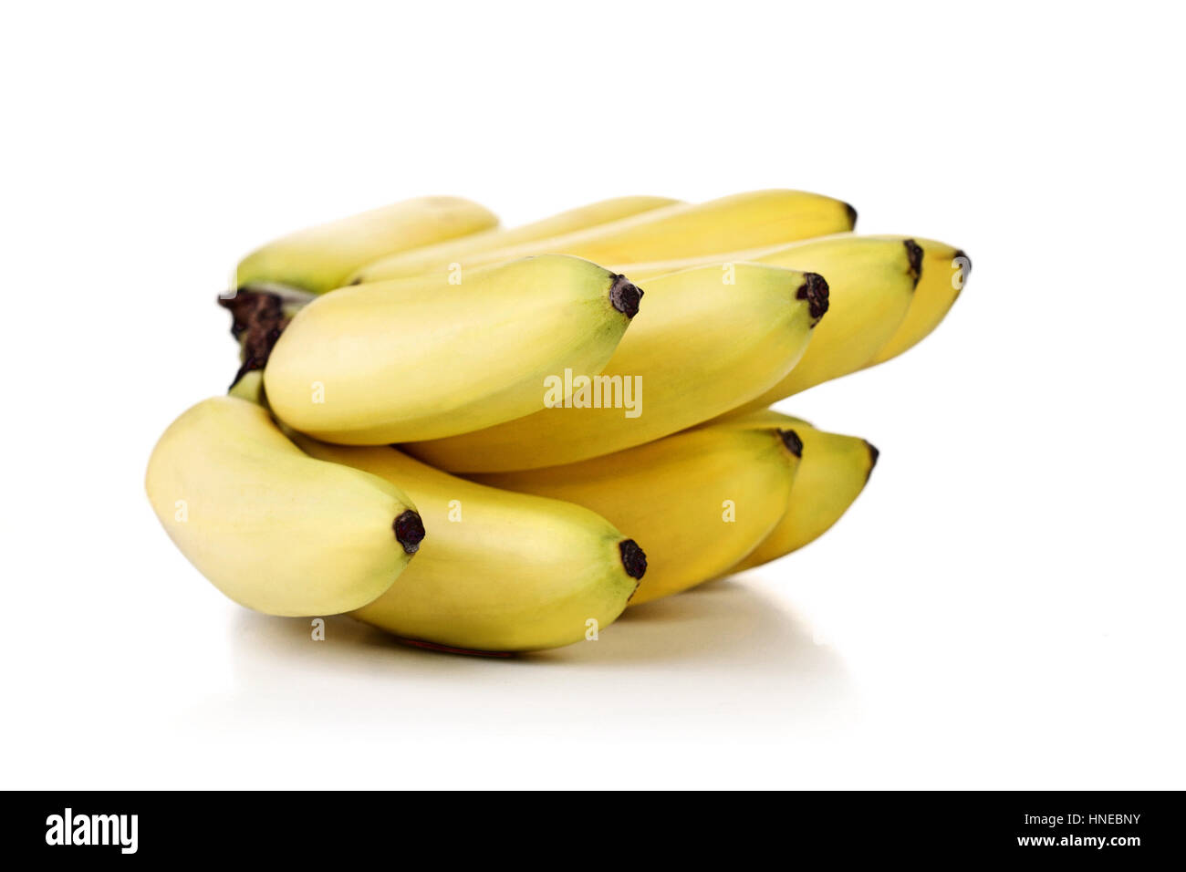 Studio shot of bunch of bananas Stock Photo