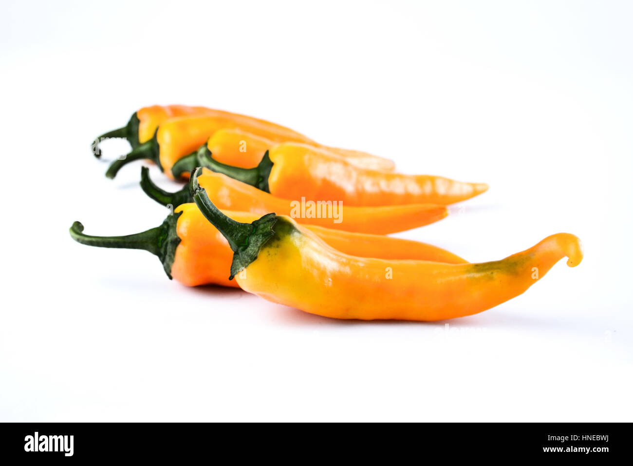 Studio shot of chilli peppers Stock Photo Alamy