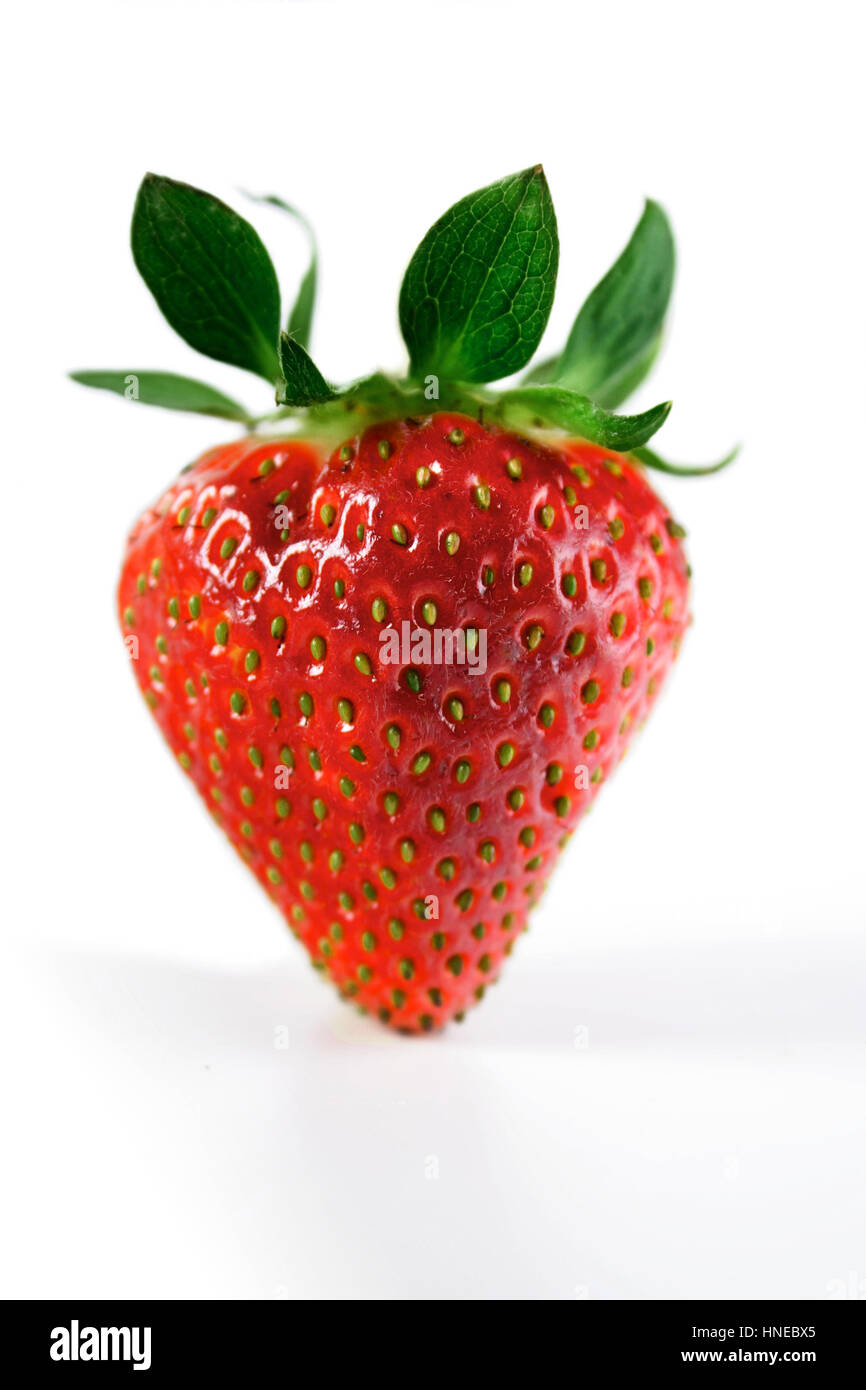 Studio shot of strawberry on white background Stock Photo - Alamy