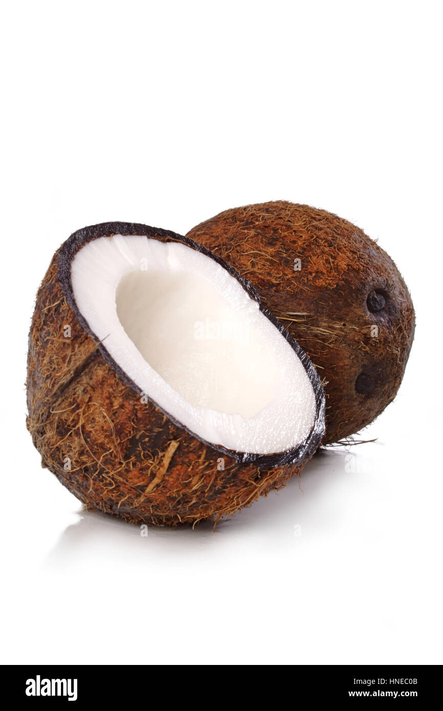 Studio shot of coconut at white backround Stock Photo