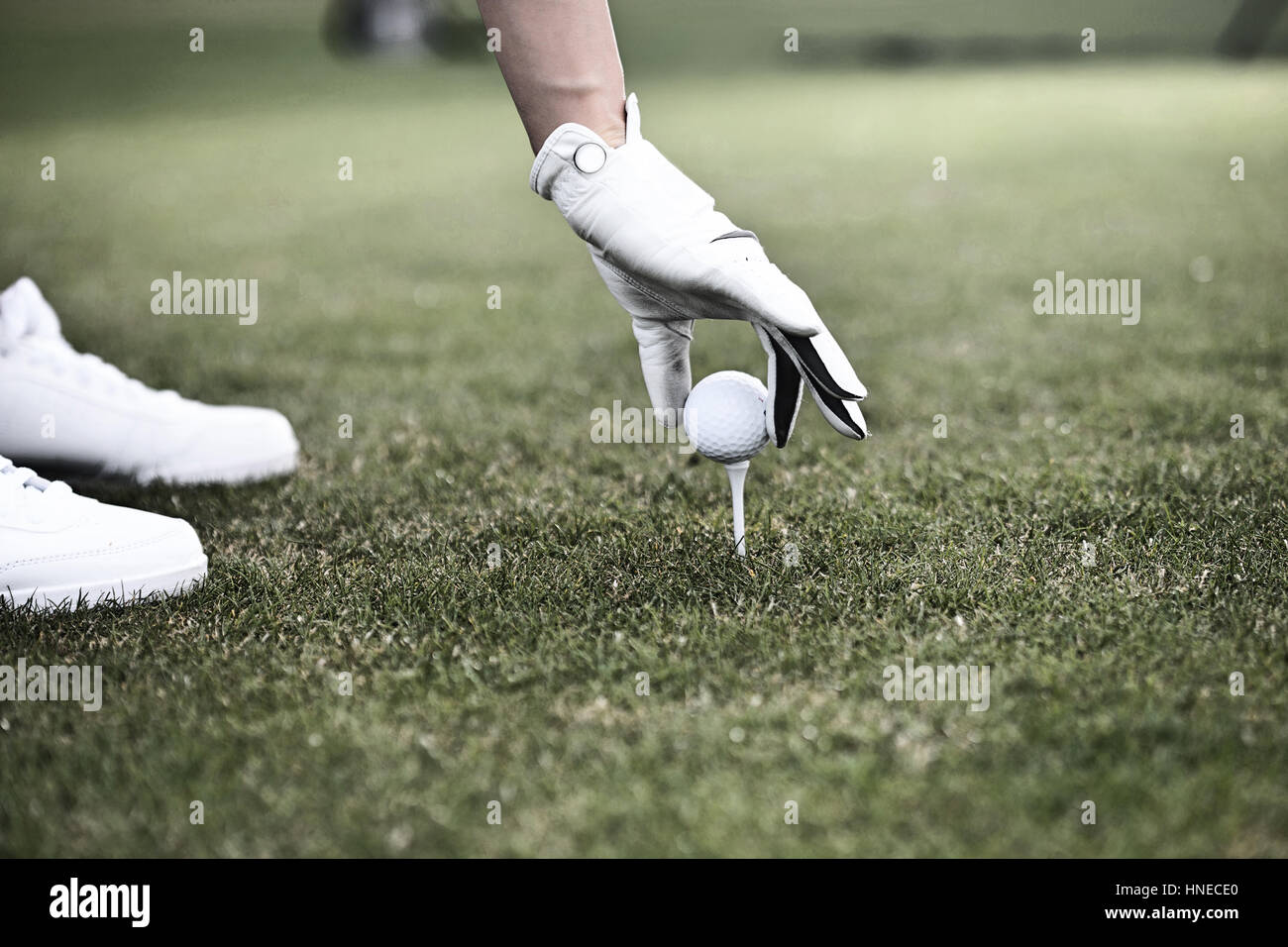 Golf tee hires stock photography and images Alamy