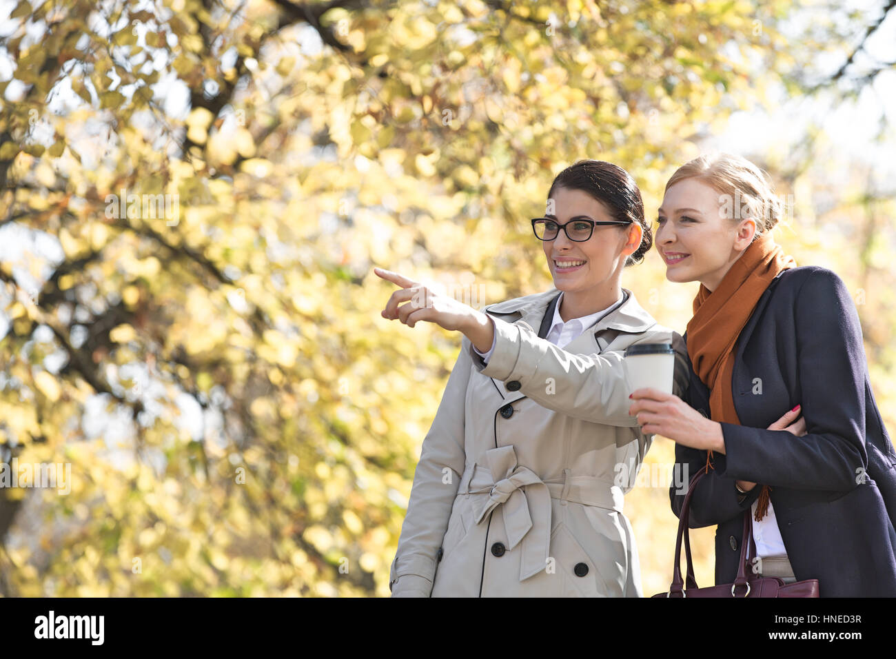 Happy businesswoman showing something to colleague at park Stock Photo