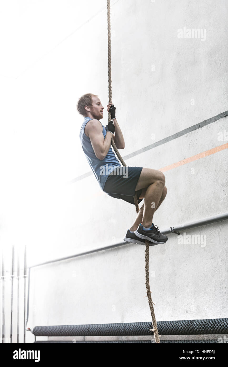 Side view of determined man climbing rope in crossfit gym Stock Photo -  Alamy