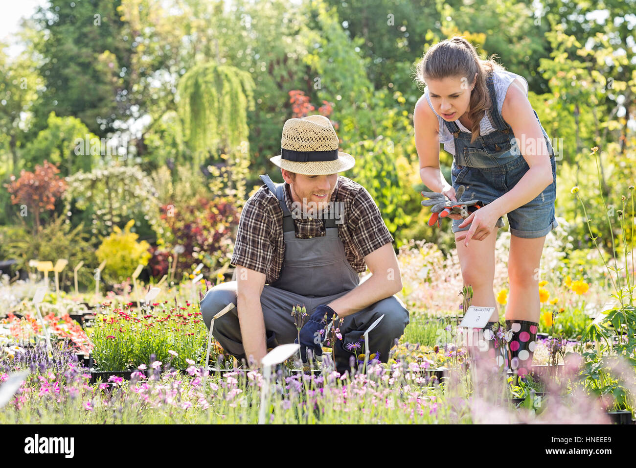 Gardeners discussing at plant nursery Stock Photo - Alamy