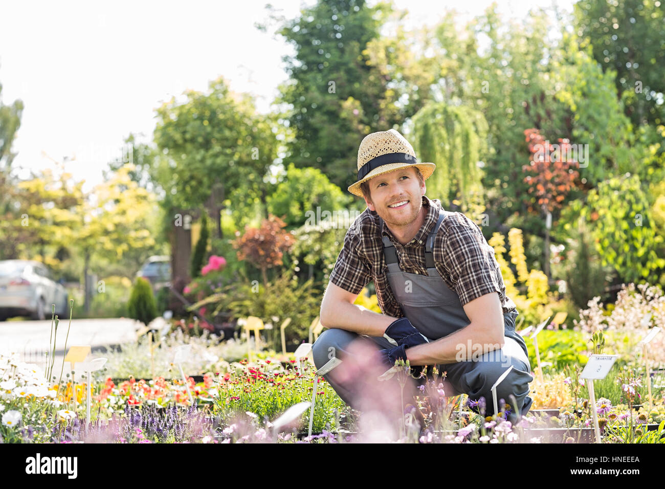 Man looking away while gardening at plant nursery Stock Photo
