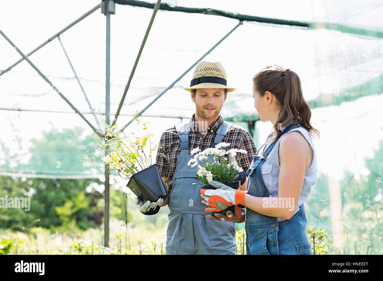 Gardeners discussing over flower pots at greenhouse Stock Photo - Alamy