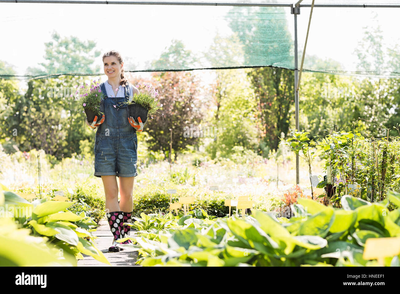 Full-length of gardener looking away while holding potted plants at greenhouse Stock Photo
