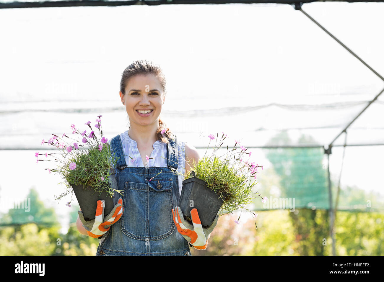 Portrait of confident gardener holding potted plants at greenhouse ...