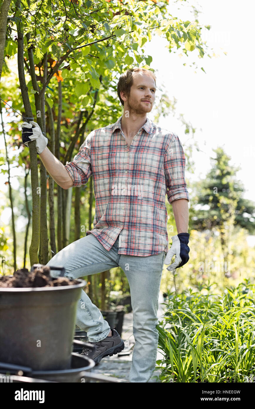 Male gardener looking away while standing at plant nursery Stock Photo