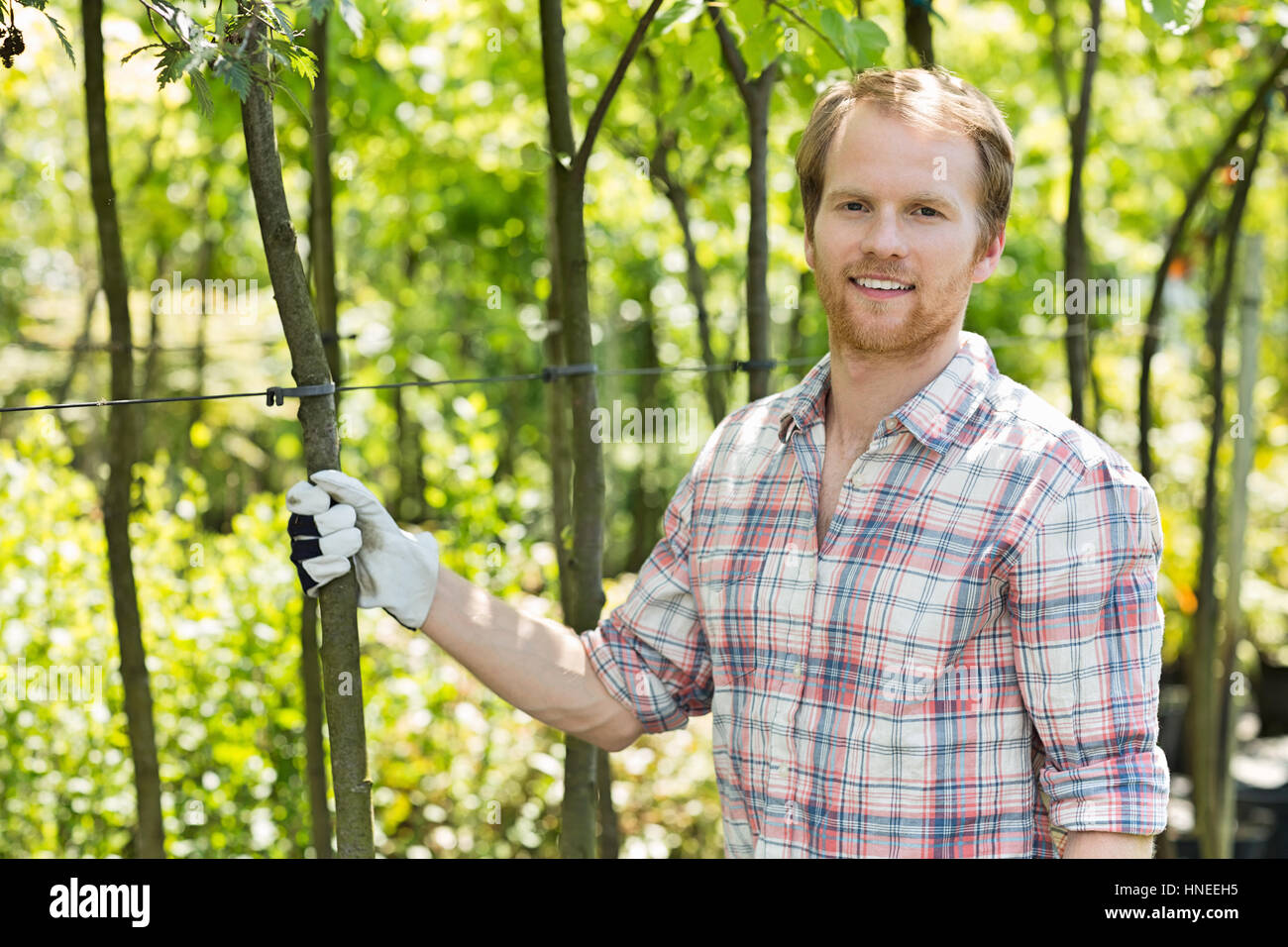Portrait of smiling gardener standing at plant nursery Stock Photo - Alamy