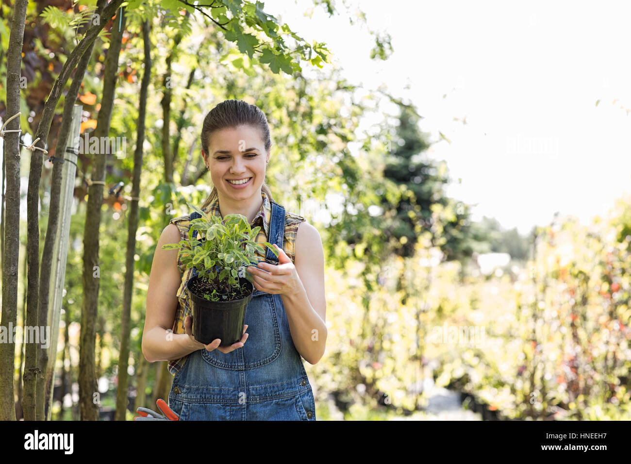 Happy woman looking at potted plant in garden Stock Photo - Alamy