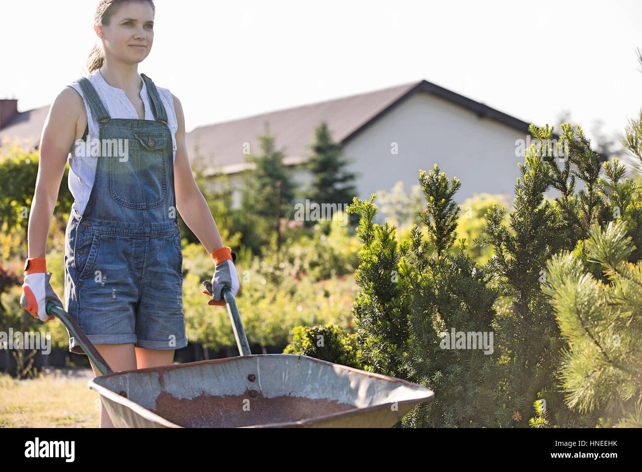 Female gardener pushing wheelbarrow at plant nursery Stock Photo