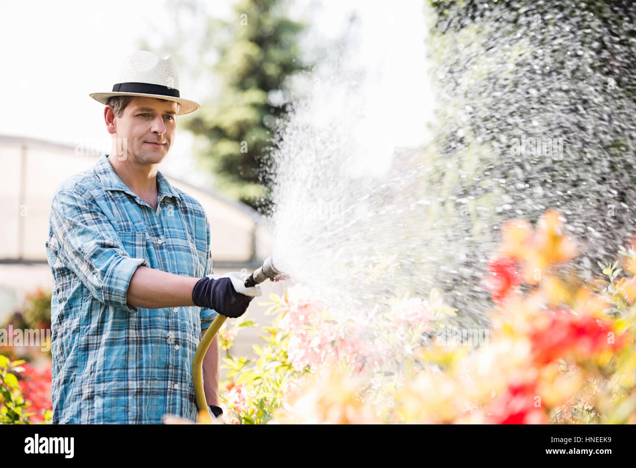 Man watering plants outside greenhouse Stock Photo