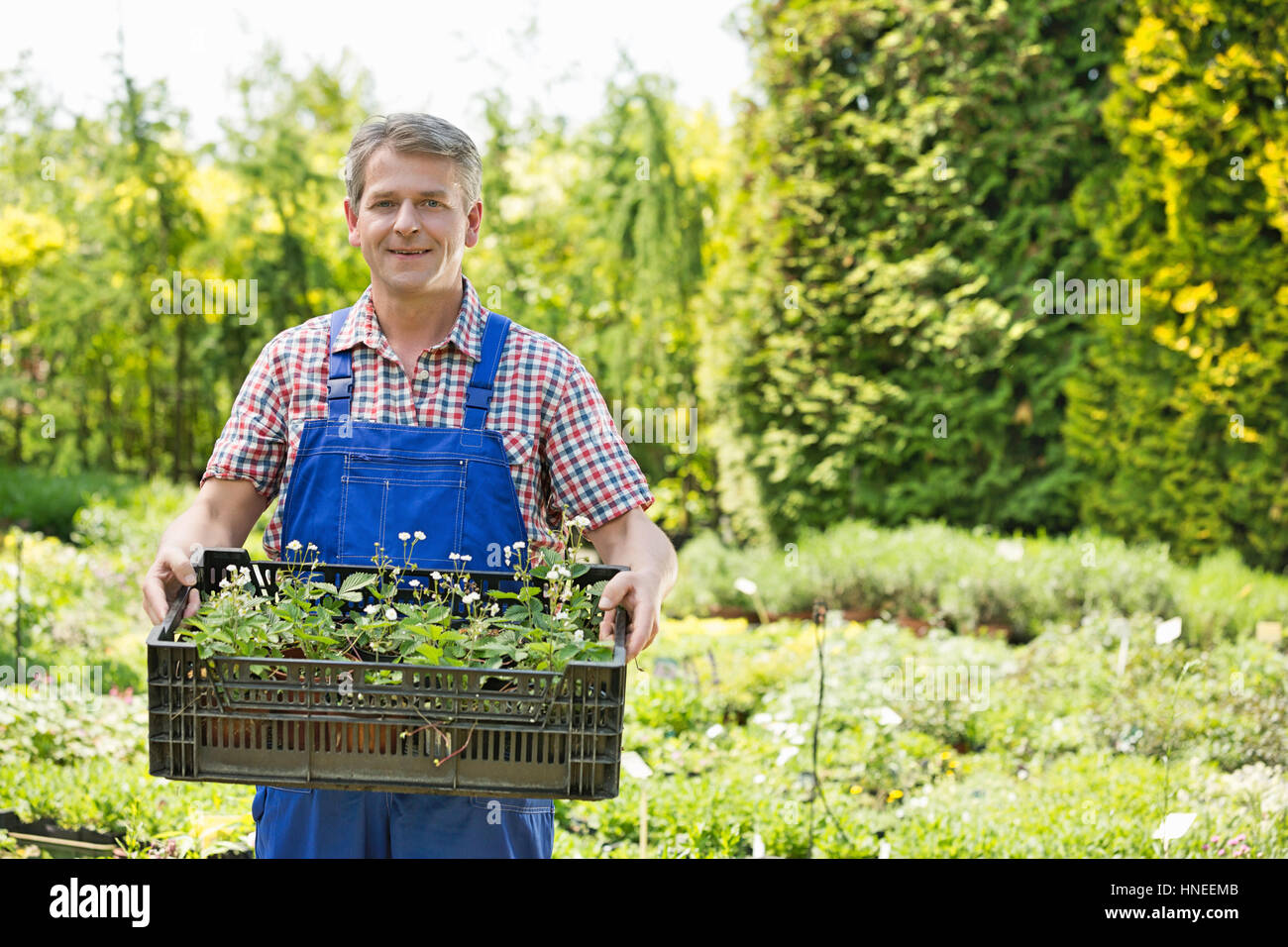 Portrait of confident man holding crate of potted plants at garden Stock Photo