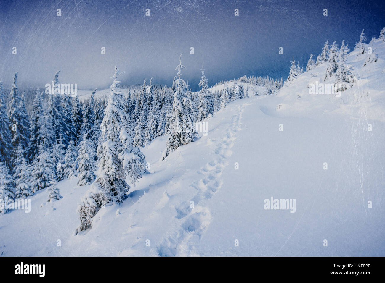 Fantastic winter landscape Stock Photo