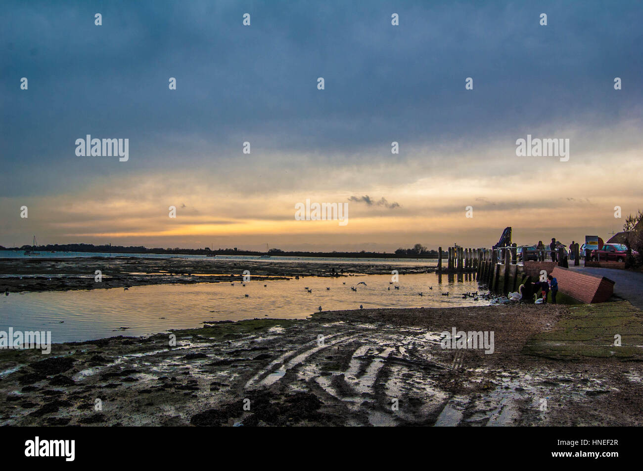 Bosham beach at sunset and low-tide with wooden groynes. Stock Photo