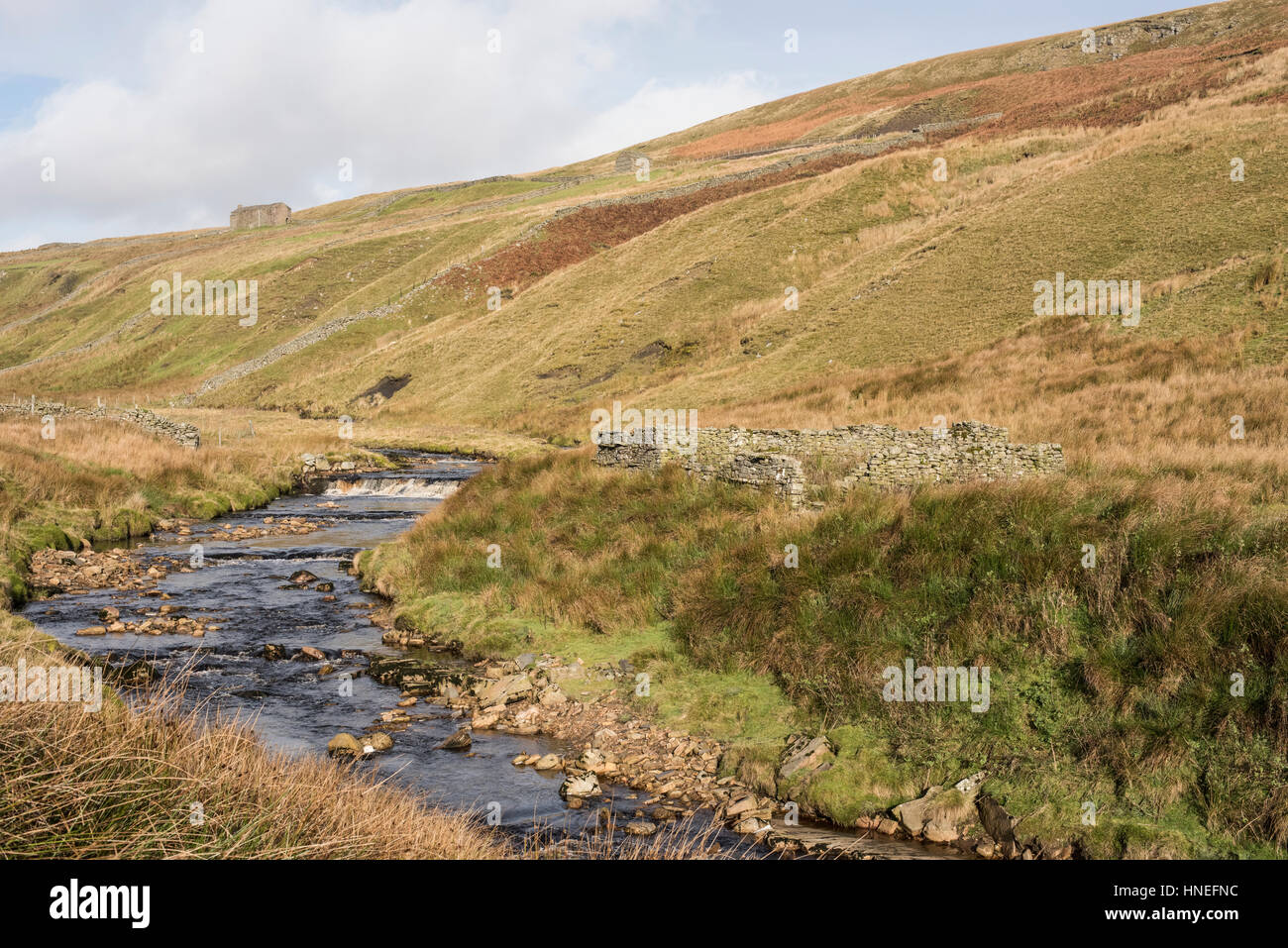 Sheepfold by Birkdale Beck, Birkdale, Yorkshire Dales. Also showing a barn on the hillside and common land Stock Photo