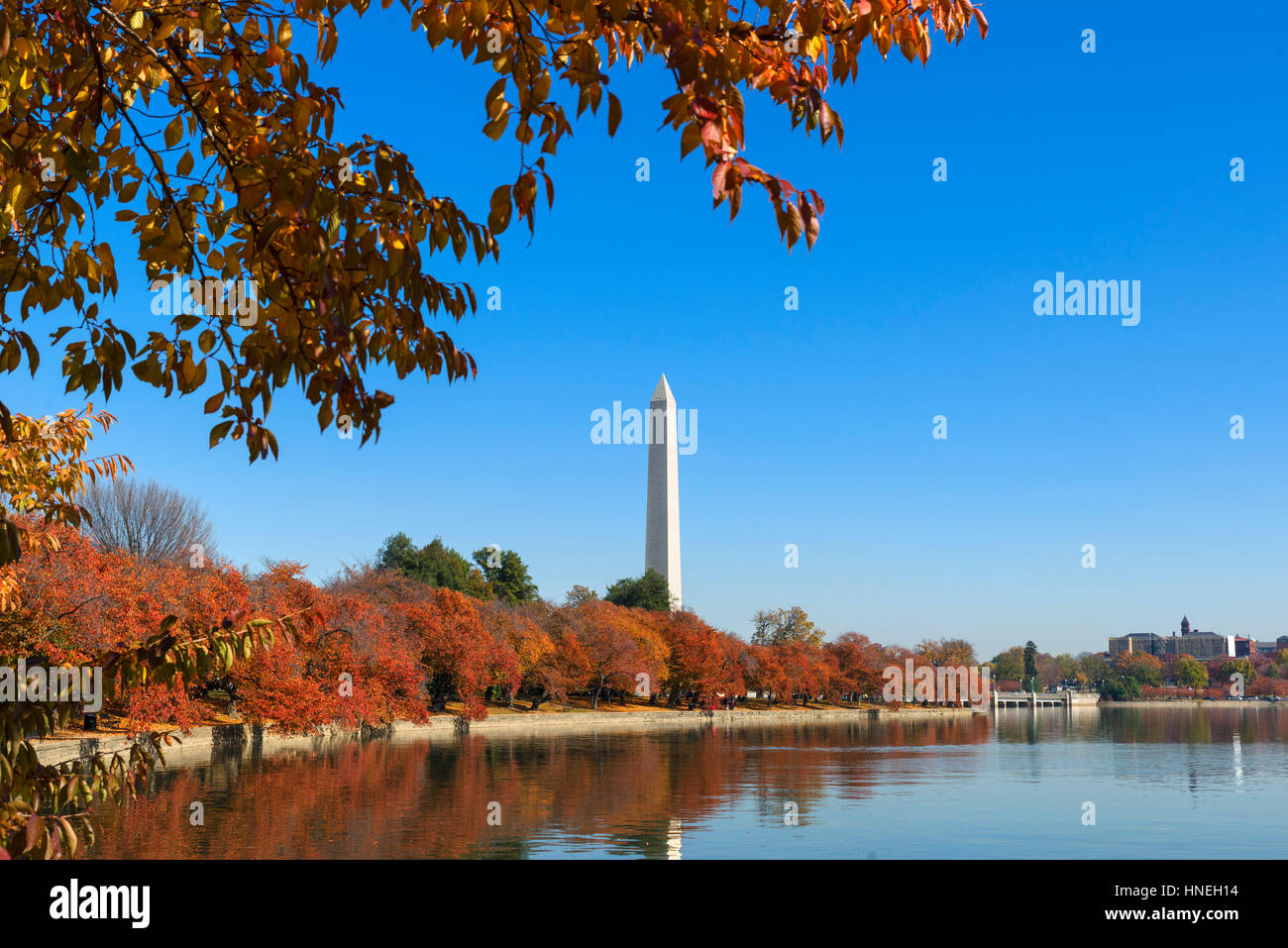 The Washington Monument from the Tidal Basin in the fall, West Potomac Park, Washington DC, USA Stock Photo