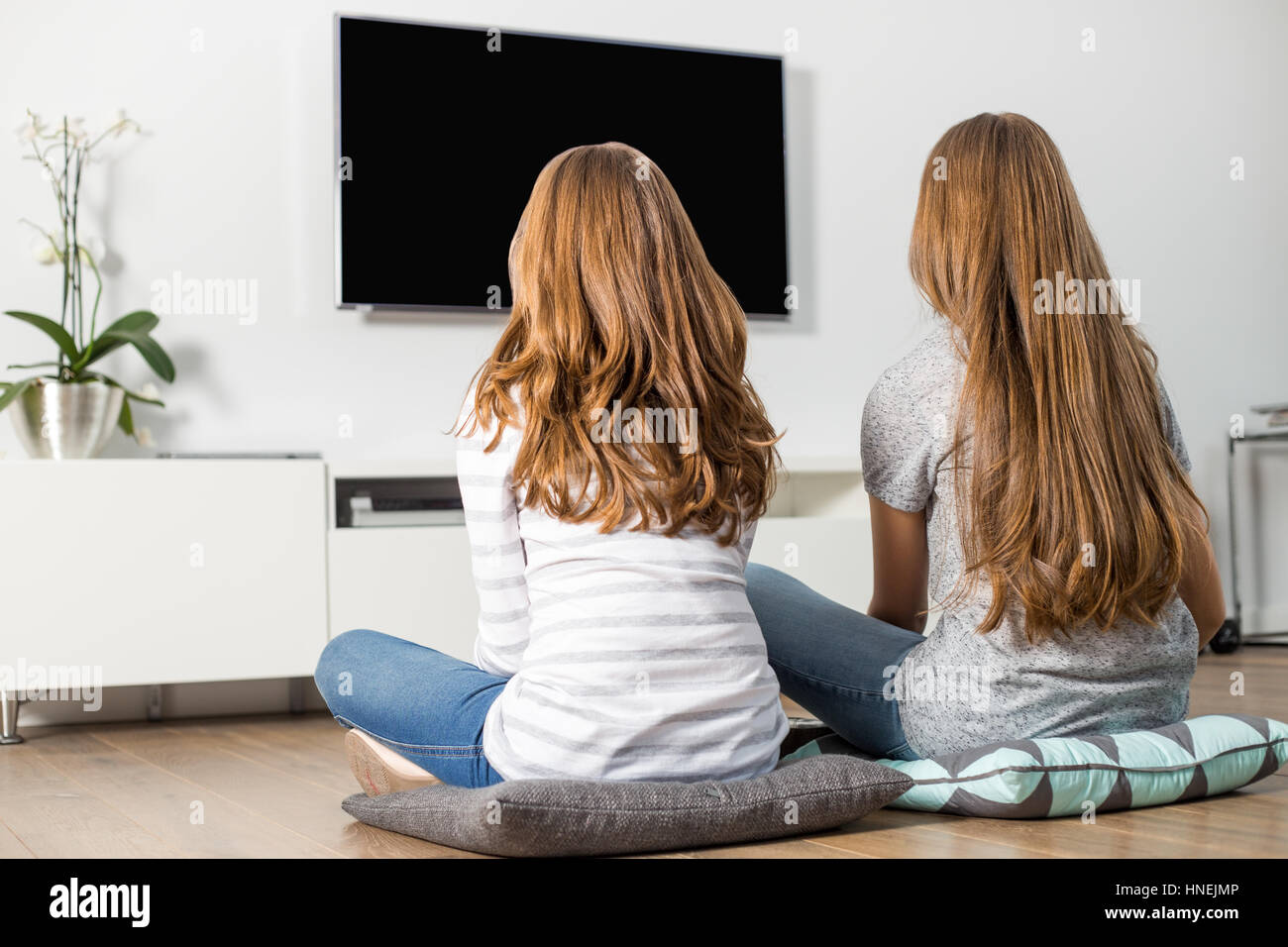 Rear view of siblings watching TV at home Stock Photo