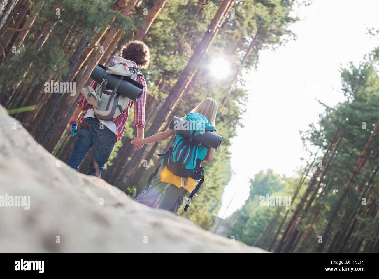 Rear view of hiking couple holding hands while walking in forest Stock ...