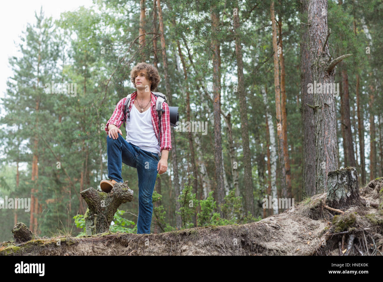 Full length of male backpacker standing in forest Stock Photo