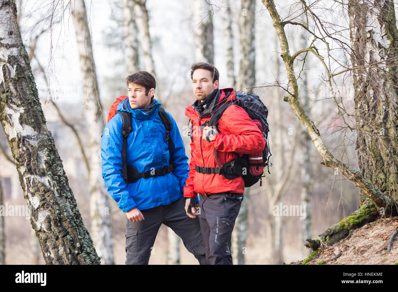 Young male hikers in forest Stock Photo