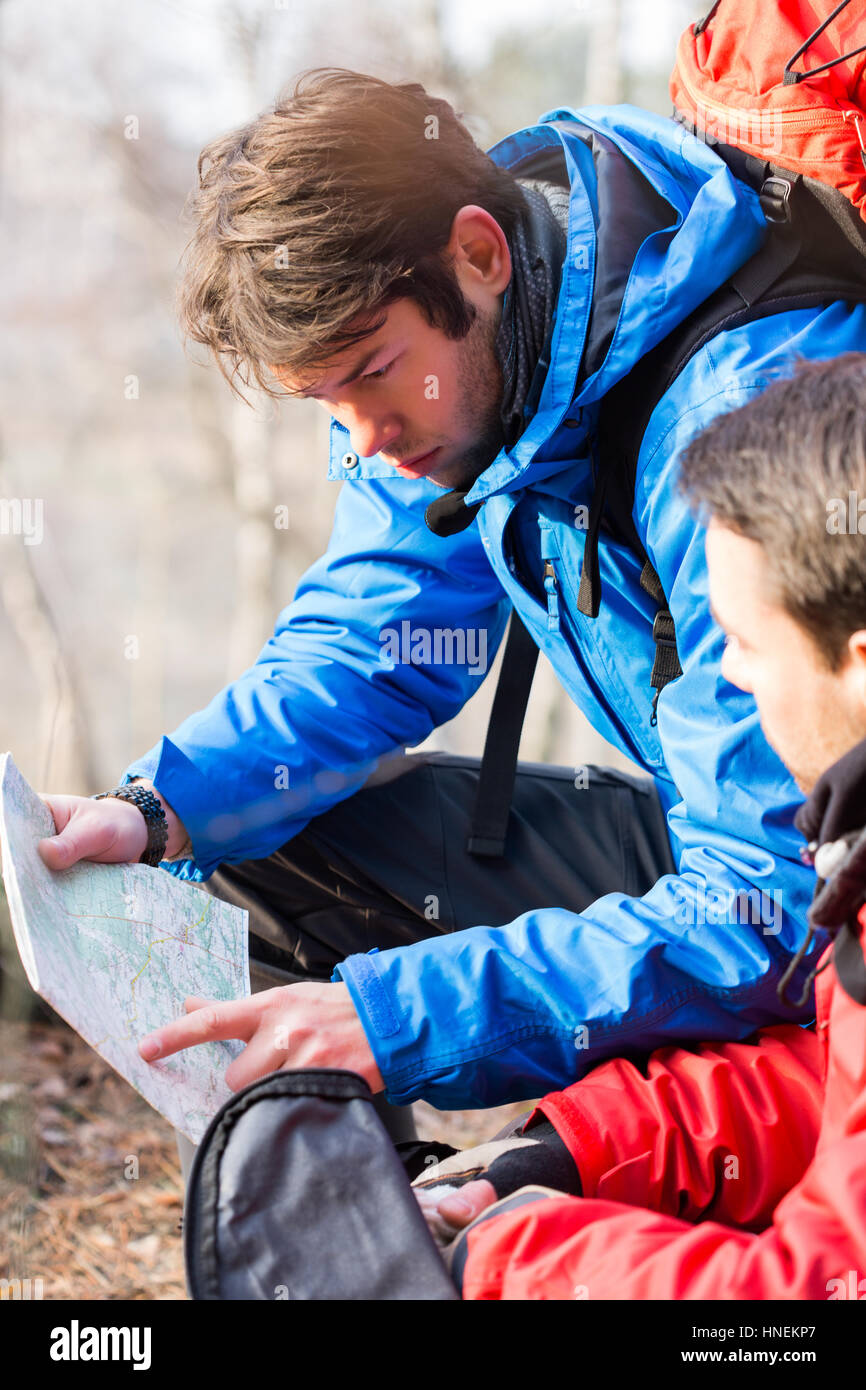 Male backpackers reading map in forest Stock Photo