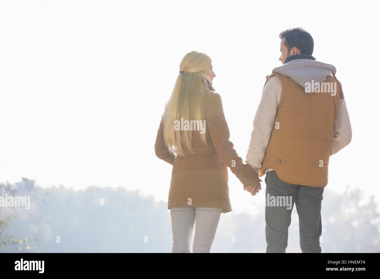 Rear view of couple holding hands while looking at each other in park Stock Photo