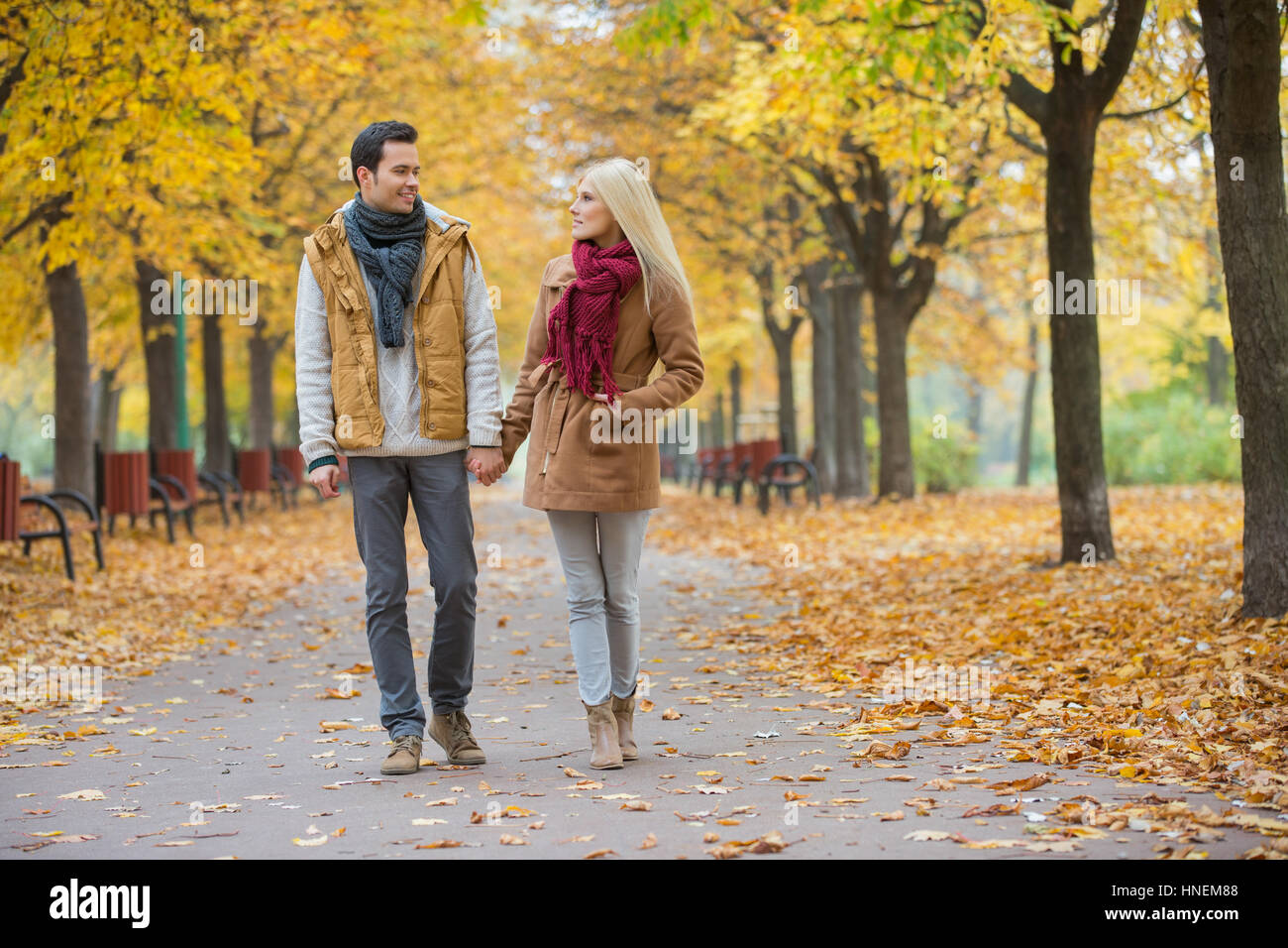 Couple holding hands while walking in park during autumn Stock Photo ...
