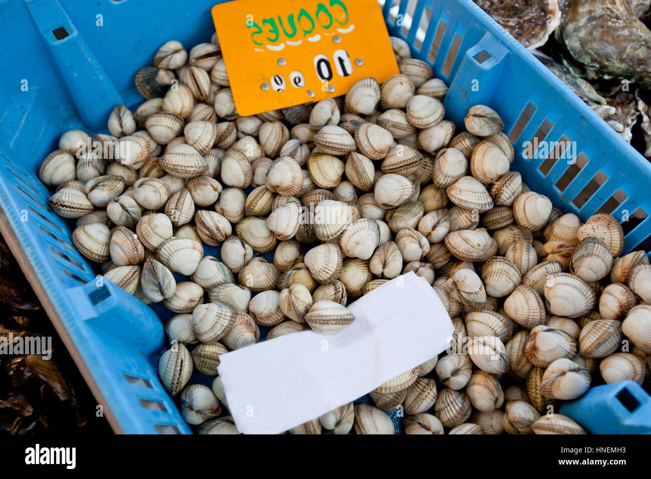 Close-up of shellfish in container at store Stock Photo