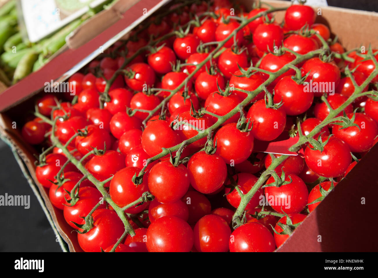 Fresh tomatoes on display at store Stock Photo Alamy