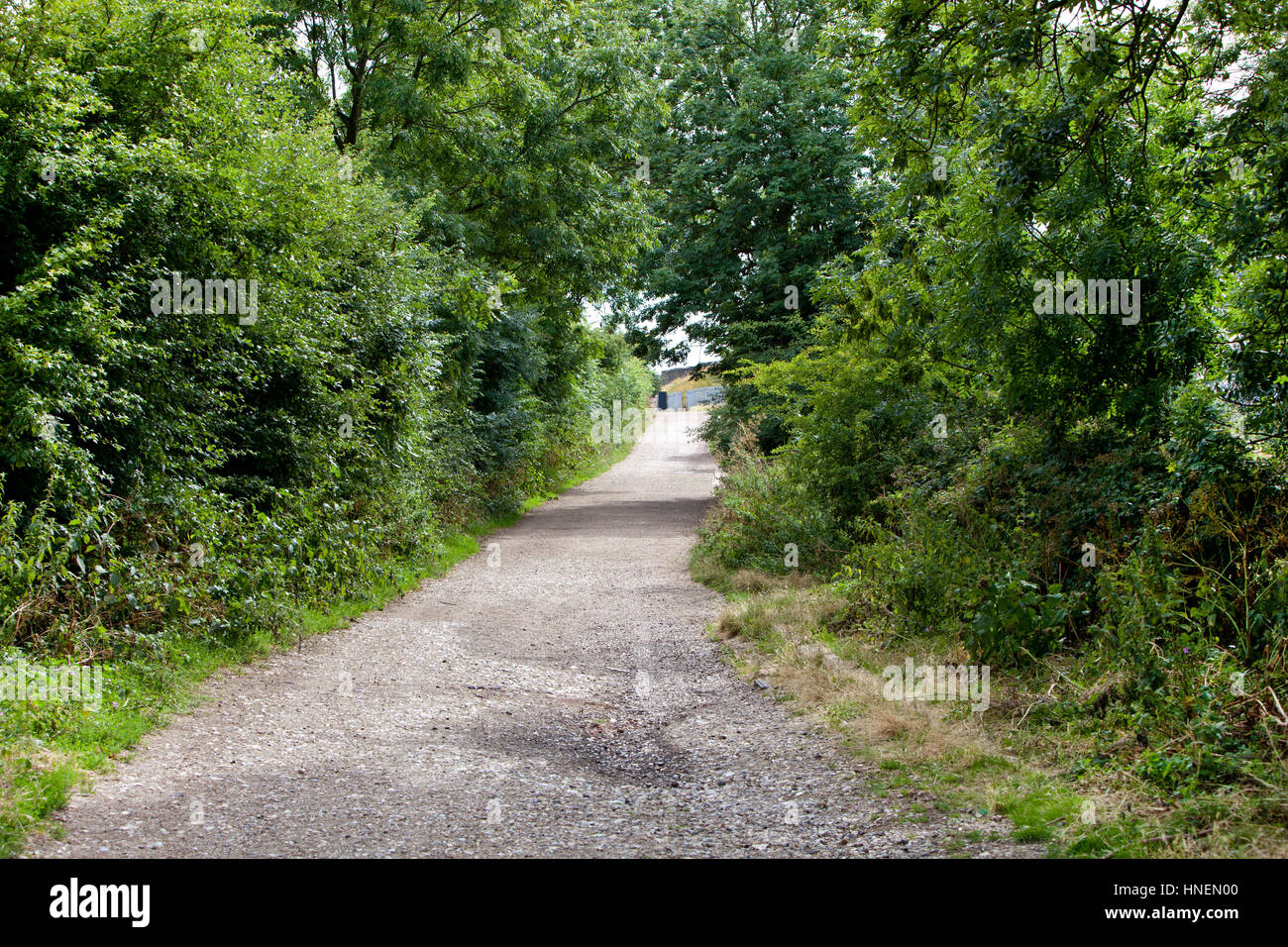 Country Lane in British Countryside Stock Photo