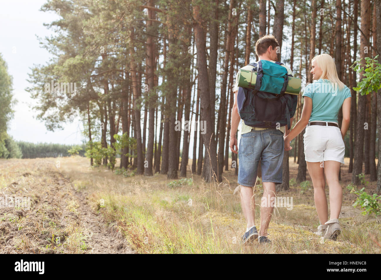Rear view of young couple holding hands while hiking in forest Stock ...