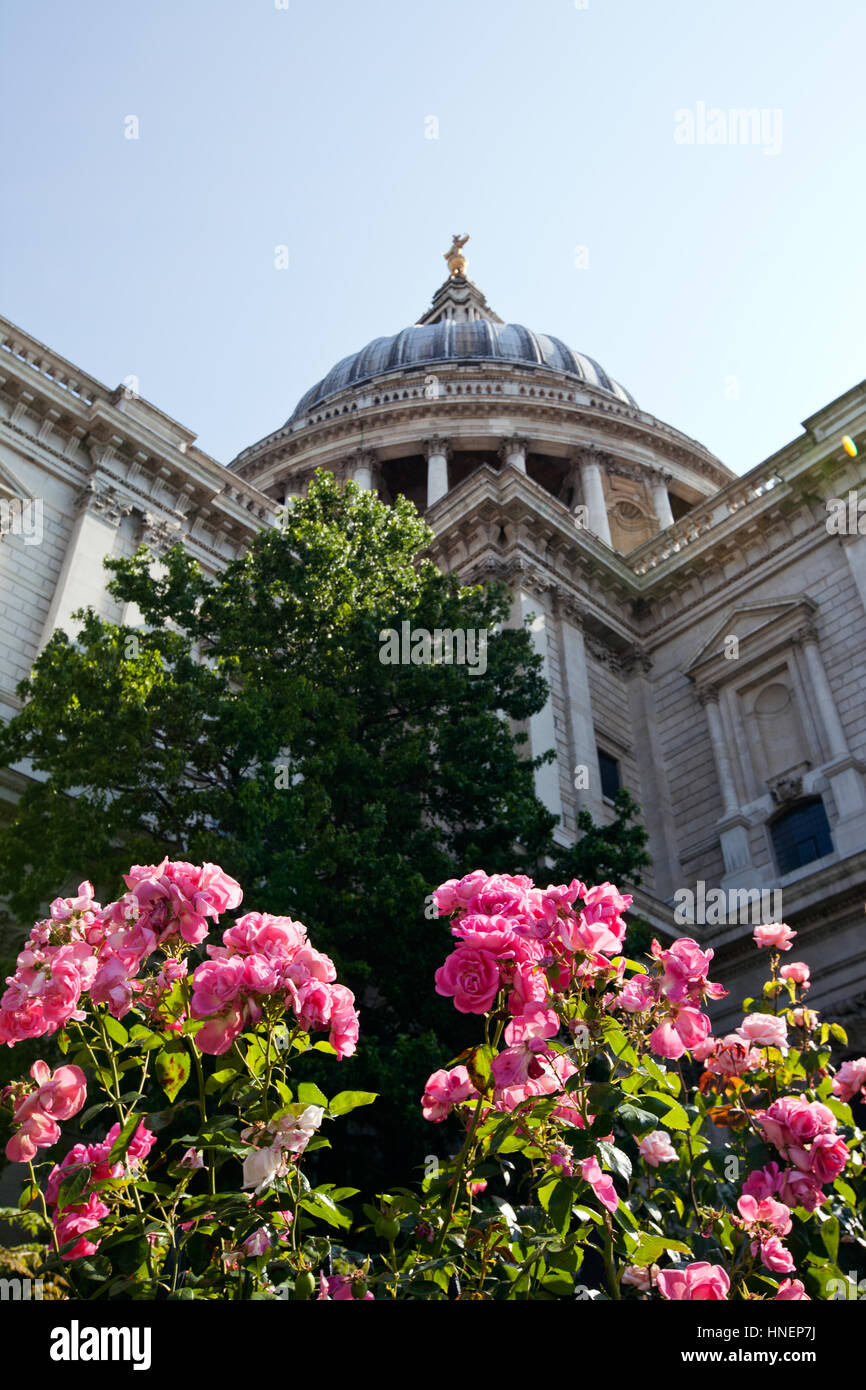 View from below of St. Paul's cathedral, London Stock Photo